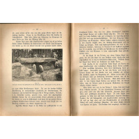 Livros/Acervo/S/SCHWANTS 3